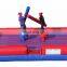 Funny Knock off fighting inflatable gladiator joust for sale