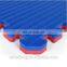 Jigsaw Jiu Jitsu Mat Tatami EVA Taekwondo Mat