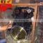 Good Quality Engine Assembly QSB3.3 B3.3 Diesel Engine  Assembly