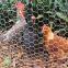 used fencing chicken wire mesh for sale