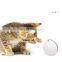 Multiple colors electric USB LED cat laser teaser rolling ball toy automatic cat teasing toy