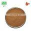 30% polysaccharides ganoderma lucidum  extract powder