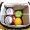 Fashion Food Totes Small Fitness Insulated Lunch Bag