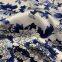 98 Polyester 2 Elastane 300d Polyester Oxford Chiffon Fabric Digital Print Flower