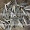 Frozen Round scad with size 55 - 70 pcs / 10kg