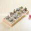 Factory Planter Vase Set Luxury 10 Pcs Small Pots Flower Pot Golden Wood Tray Felt Ceramic Home Used with Flower/green Plant 30