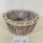 Oval Shaped Small Poplar bark  Handwoven gardening flowers Basket