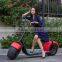 1000w electric scooter halley scooter hot sale atv scooter with big wheel