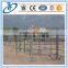 High Quality Low Price Hot-Dipped Galvanized Sheep fence panel