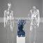 Transparent plastic mannequin/torso