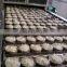 Industrial stainless steel cassava chips machine