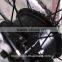 EN15194 approval Excellent electric bicycle/electric bike /ebike