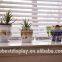 Deluxe Clear Multipurpose Decorative Nesting Clear Acrylic Serving Trays Wholesale