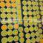 COB LED chip for down light spot light track light RA>80 high lumen120LM/W