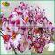 2015 novelty china artificial orchid flowers for wedding decoration                        
                                                Quality Choice