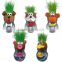 2016 new organic educational learning toy grow hair
