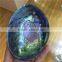 Polished Abalone Colorful Shell For Sale