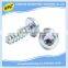 China OEM manufacturer nonstandard threaded metal self tapping screw