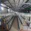 chicken farm steel sturcture building