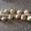 2015 popular garlic garland, party garland