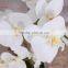 factory customized new design artificial plant white butterfly orchid flower with pot