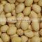 Blanched Peanuts Java