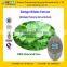 GMP Factory Supply Natural Gingko Extract with Ginkgo Flavone Glycosides