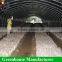 Low cost greenhouses for mushroom used