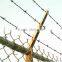 cheap galvanized barbed wire factory supply directly