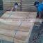 Vietnam Eucalyptus Core Veneer