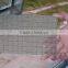 Wire laminated glass / laminated wired glass