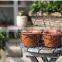 handmade steel wire basket for plant stainless steel wire basket for plant