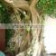 fake banyan tree real touch hot sale factory home /hotel artificial ficus tree