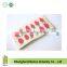 Strawberry Print Ladies Toiletry Handbag Cosmetic Cotton Case Bag Organiser Bag