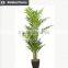 Hot sell decorative artificial indoor plant for living room decoration