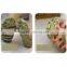 New Design Candy Colors Women Sock Antiskid Liner No Show Peds Invisible Low Cut Ice sock