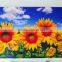 Anti-Fatigue Comfort Mat, Entrance Mat, Nylon Mat with Latex Backing