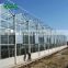 Agricultural Galvanized Steel Frame Glass Greenhouse With Intelligent Control System