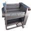 Apple Professional Electric Motor Fruit and Vegetable Washing Machine