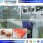 Good sale newest fish quick freezing machine tunnel for hilsa fish