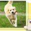Low price brown durable pet dog chew bone for teeth cleaning