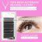 Y Type Mesh Automatic Weaving Eyelash Training Lashes For Beginners Eyelash Extensions Beauty Salon Student Practice