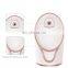Factory Directly OEM 300W 155ML Portable Mini Facial Steamer Hot Vapor Ozone Face Steamer With Hot&Cold Spray
