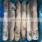 Frozen IQF frozen squid WR good quality for export