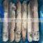 Good quality IQF frozen squid whole round roll
