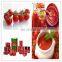 Tomato sauce production line/equipment