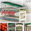 Apricot sorting machine