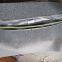 KLQ6119Q original higer bus front windshield parts bus wiper blades 37RG4-28501 glass cleaning parts