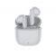 TWS Blue tooth Wireless Earphones with Mic Charging Case