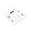 Hot Sale made in china smart BMI body fat scale